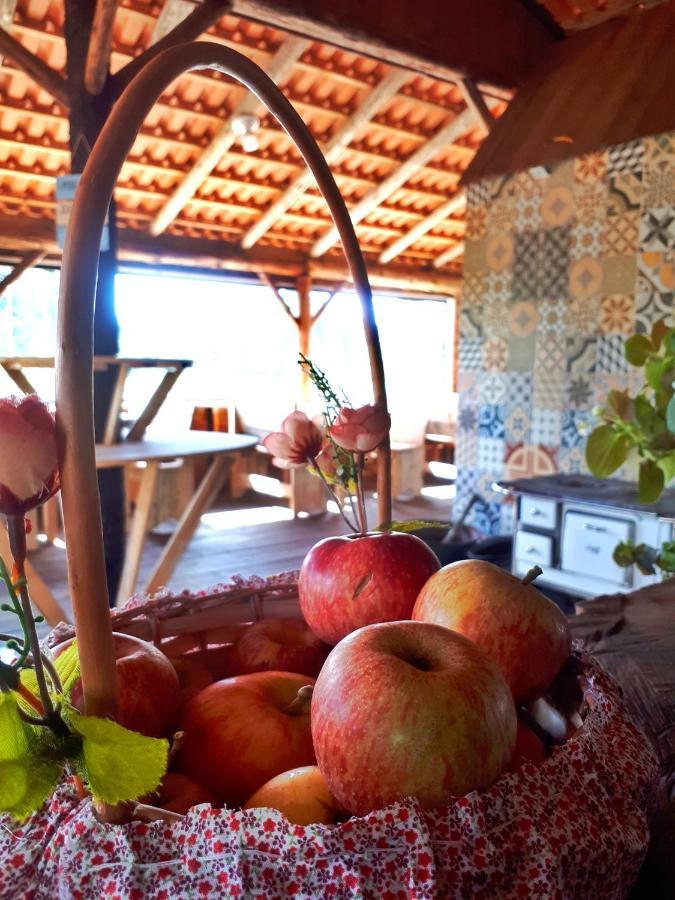 Fazenda Invernada Grande Turismo Rural Bom Jardim da Serra Εξωτερικό φωτογραφία